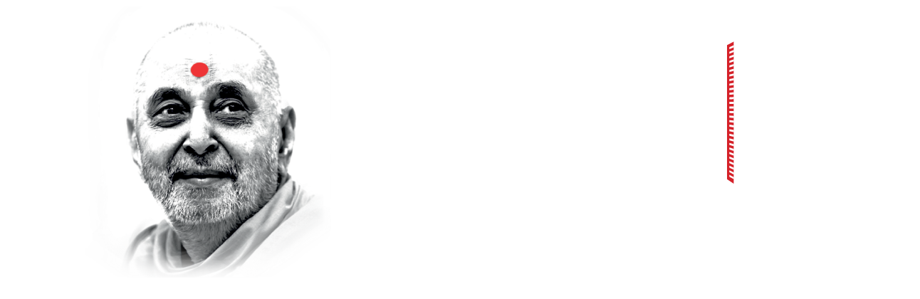Mobile Logo